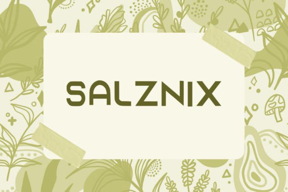 Salzaix: A Quirky Display Font That Adds Personality to Web Design