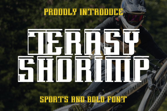 Terasy Shorimp: A Designer’s Take on Real-World Use